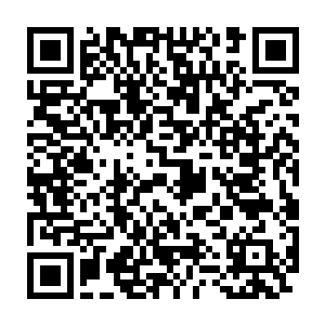 我们就按照你给我们下达的任务努力的发展我们烈焰佣兵团的实力二维码生成