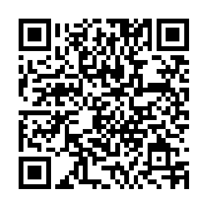 我们巨象仙宗没有半点不尊敬六道轮回前辈的意思二维码生成