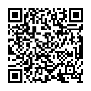 我们巫师世界已经再也没有出过新的七级巫师了二维码生成