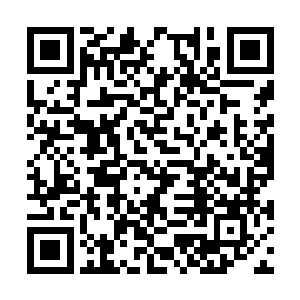 我们已经一个礼拜没有得到寒月老大的任何消息了二维码生成