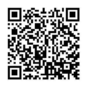 我们怕是没办法在第二阶段的试炼中申请返回神域的二维码生成