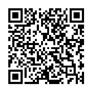 我们感应到一股强大的能量顺着血雾传递到了我们的躯体之中二维码生成