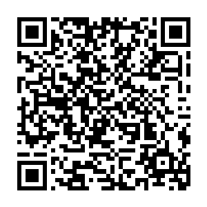 我们无奈只能在离荒地最近的墓园给他寻了一个安静的地方让他静静长眠二维码生成