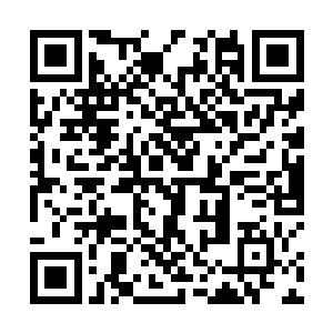 我们明明是顺着被帝王神器破开的那个门才走到这里的二维码生成