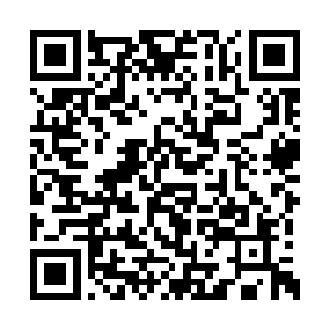 我们星辰拍卖行的科学家对其进行了无数次测试二维码生成