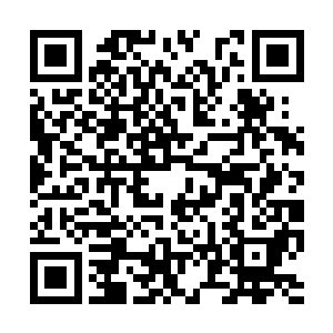 我们海克家族也是当年请求一位炼丹师炼制了几枚二维码生成