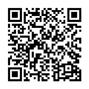 我们的世界我们的族群已经面临灭绝了……而拯救我们的二维码生成