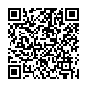 我们的始祖早在数万年前便是已经预料到了这样的情况二维码生成