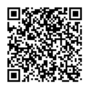 我们的终极梦想就是跟着小师叔勇闯天涯行侠仗义成为真正的英雄好汉二维码生成