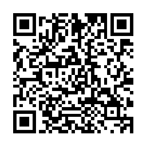 我们的衣服……都被林烽那可恶的小子给扒光了……二维码生成