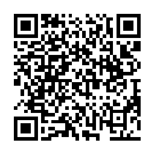 我们破例在没有这些的前提之下将奖项颁发给了你……二维码生成