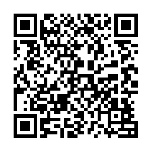 我们被关在这不过短短几百年时间……外面到底发生了什么二维码生成