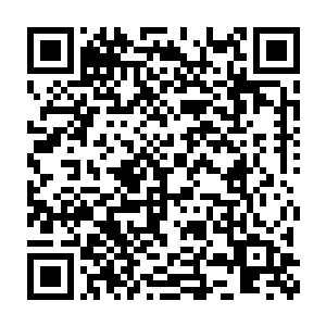 我们要听一听这大老爷子准备托付给国内的这些后起之秀什么任务二维码生成