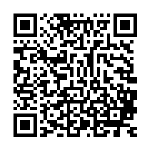 我们要自首……打架斗殴……还有聚众赌博……还有吸毒……恩二维码生成
