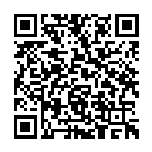 我们说过要装他爸爸妈妈……这事……您没忘吧二维码生成