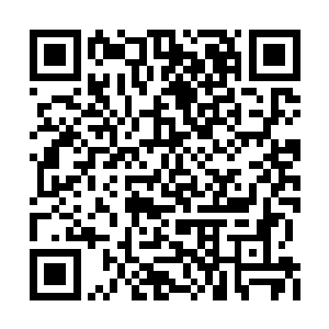 我们还掌握了神圣世家勾结黑暗公会的确凿证据二维码生成
