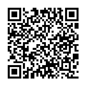 我们还有半小时就准备集合前往一个新出现的神秘的地方了二维码生成