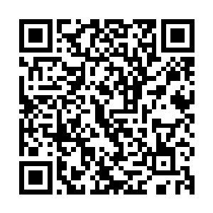 我们陆海集团和嘉桓公司都很愿意为双峰的发展和建设做出贡献二维码生成