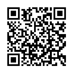 我会把看到的每一头虫族数据全都分析出来二维码生成