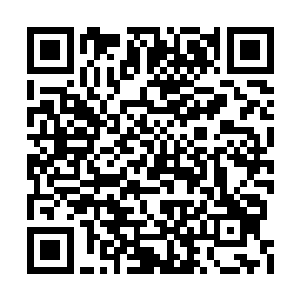 我会负责在一个轮廓圆上去的时候让它变得很棒二维码生成