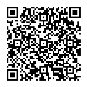 我來到桑巴国的消息不要对基地内的任何人泄露我可能会以一个训练者的身份进入基地二维码生成