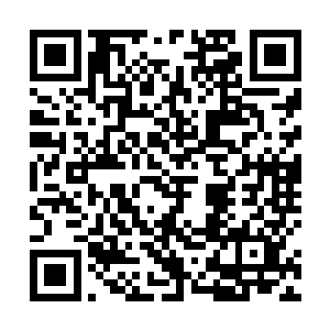 我便被萧子卓拖着去了学校外的一个比较高档的咖啡厅二维码生成
