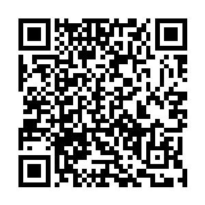 我倒是毫不客气伸手就在汤思可肉肉的脸颊上狠捏了一把二维码生成