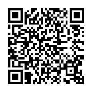我倒是要领教一下白虎族少族长如今究竟强到了什么地步二维码生成