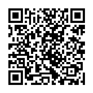 我冷冷看着道盟仿佛还没有受到撤退命令似的攻打天之境二维码生成