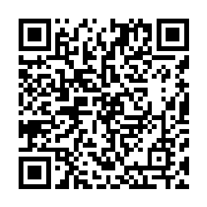 我准备在你身上下注……嗯……就把犹大的金币袋压上好了二维码生成