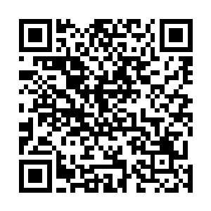 我几乎用尽了我能够用的最大的力量抓了一下小蝶的衣服二维码生成