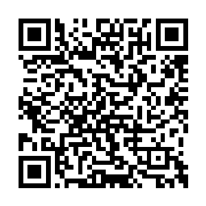 我刚刚看到秦大师你用罗盘的指南旋转来判断的二维码生成