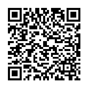 我即便是得到了天大的机遇也无法在短时间内赶上你二维码生成