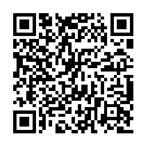 我去年领悟出天倾一脉金丹境界的完美修炼之法二维码生成