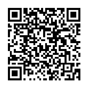 我发现这法杖本身确实就是以灵宝的规格去制作的二维码生成