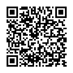 我只是因为被你气的不知道怎么表达心里的愤怒和惊讶二维码生成