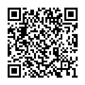 我可不会把自己的性命押注到不被那些家伙找到二维码生成