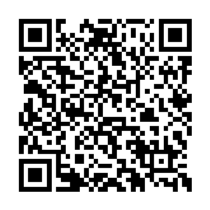 我可以保证我们音城绝对不会攻击你们枫族树人二维码生成