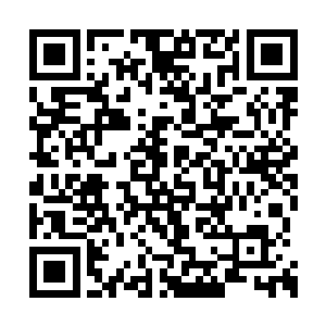 我可以利用一种特殊的电磁波冲击诺尔斯的大脑二维码生成