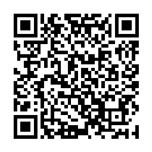 我可以动用私人关系找商会一个长辈来鉴定一下价钱二维码生成