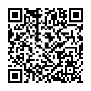 我可以把许家曾经的一位宗师先人的笔记拿出来二维码生成