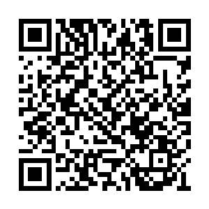 我可以试试自己到底能够跟什么程度的仙人对战二维码生成