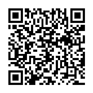 我可是亲眼看见您把昌远侯府大房的一家人接到您家里住着的二维码生成
