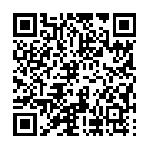 我可没办法像你那样去和管理委员会的人谈判沟通二维码生成