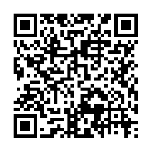 我和爷爷就一直没有告诉他们你的确切身份和地址二维码生成