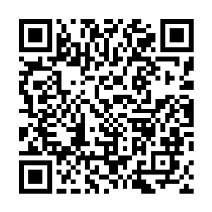 我和老转轮王已经被暗中势力和南区的城池搞得疲惫不堪二维码生成