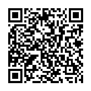 我在京城我们自己开发的楼盘里为你们留了两套房子二维码生成