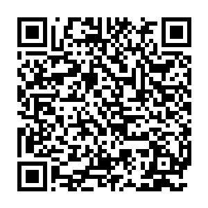 我在原地等到距离天亮还有两个小时左右时候也不见守林人和阵法显现二维码生成