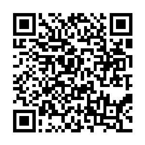 我在家里养着的第一批六只小白鼠就先后死去了……二维码生成