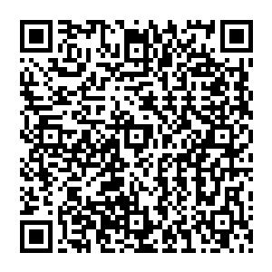 我在看头顶上的天不知道在天外又是怎样的存在是不是与我这般还有一个我在同样抬头看着天二维码生成